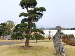 -香山湖公园