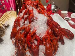 -沪碟·精菜坊(闵行店)