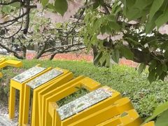-新虹桥中心花园