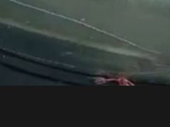 -直隶安家牛肉罩饼(建华店)