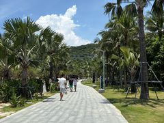 -大梅沙海滨公园