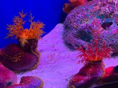 -上海海洋水族馆