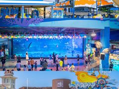 -烟台海昌鲸鲨海洋公园