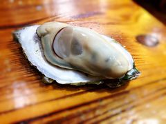 -大富蚝乌东哥饭店·石锅鱼杂·柠檬鸭(革新路店)