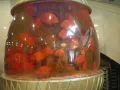 -御花园·粤菜·海鲜火锅(中山公园店)