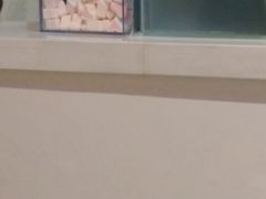 -狐狸和向日葵(北京路店)