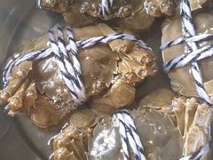 -乡乐园蟹庄·阳澄湖农家乐