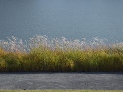 -羊山湖公园
