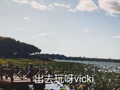 -丁香湖公园