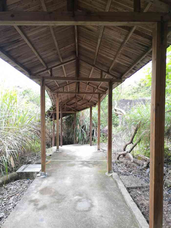 莲花书院景区-"这次活动来到厦门罗汉山,清新空气和浓厚的.