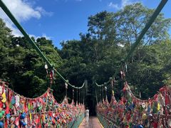 -西双版纳原始森林公园