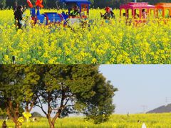-光明小镇欢乐田园