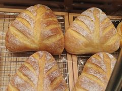 -喜莲娜动物奶油生日蛋糕(白云店)