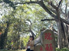 -瑞丽独树成林风景区