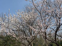 -青岛海滨风景区