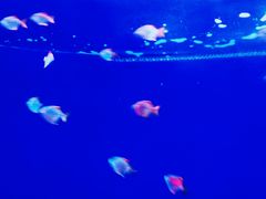 -沈阳海洋探索中心