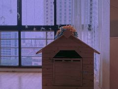 -Husky Go! 哈士奇体验馆·宠物咖啡厅狗咖