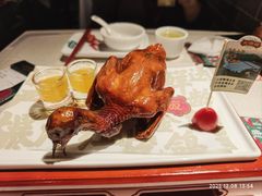 -大鸽饭(动物园店)