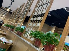 -杨翔豆皮涮牛肚(华阳城店)