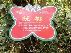 -呀诺达热带雨林