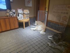 -大江户·温泉洗浴(浑南店)