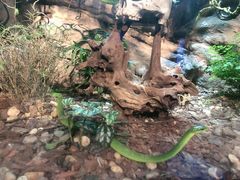 -成都浩海立方海洋公园