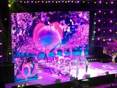 -南京奥林匹克体育中心-体育馆