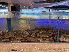 -一方渔歌蒸汽海鲜自助(文化路万达广场店)