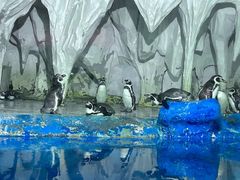 -太平洋海底世界