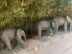 -呀路古热带植物园