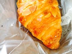 -卡滋贝诺动物奶油生日蛋糕(亚太潮尚店)