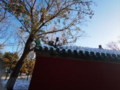 -北京古代建筑博物馆