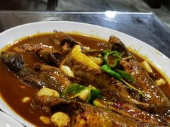 昂刺鱼-溱湖八鲜菜馆