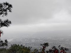 -缙云山景区