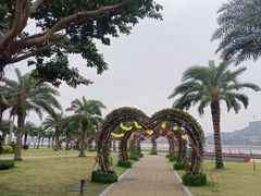 -野狸岛