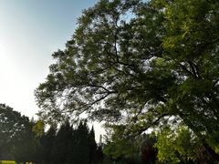 -北坞公园