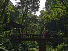 -桂林古东瀑布景区