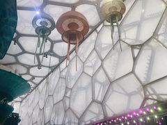 -水立方嬉水乐园
