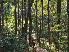 -广州市帽峰山景区