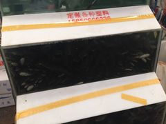 -众彩物流水产市场