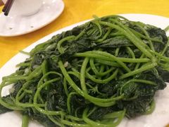 -鸿达渔港