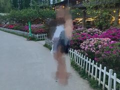 -秀丽东方