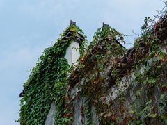 -张公山寨景区