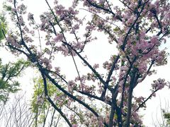 -府河摄影公园