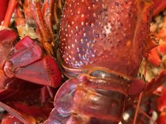 -第三空间·趣味桌游·轰趴.室内CS.剧本杀(大武汉1911店)