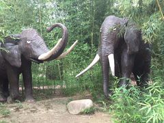 -揭东万竹园旅游景区