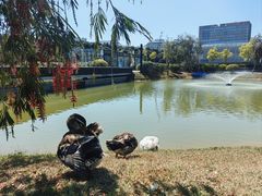 -深圳大学(丽湖校区)