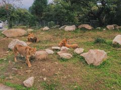 -西安秦岭野生动物园