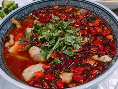 陕西老碗鱼-西安饭庄·非遗陕菜(钟楼店)