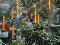 -正佳雨林生态植物园